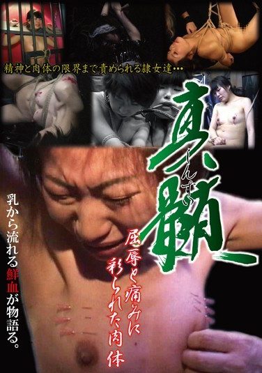 [PHD-006] 真髄 屈辱と痛みに彩られた肉体