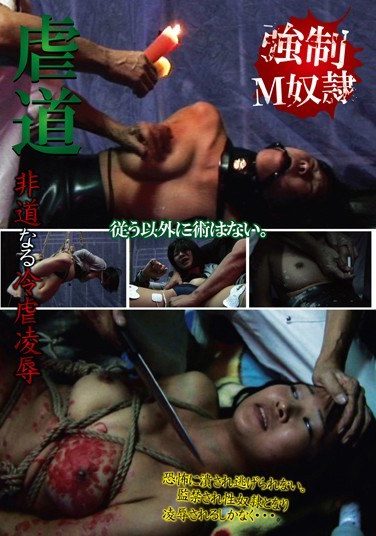 [PHD-022] 虐道 非道なる冷虐凌辱