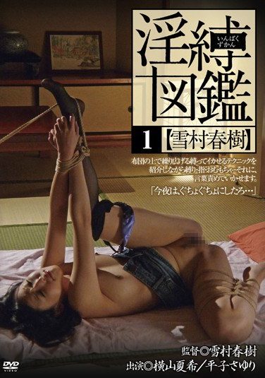 [AKHO-088] 淫縛図鑑 1 雪村春樹